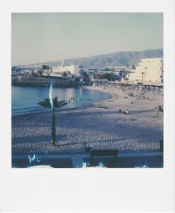 Polaroid Landscapes